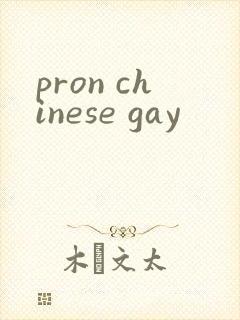 pron chinese gay