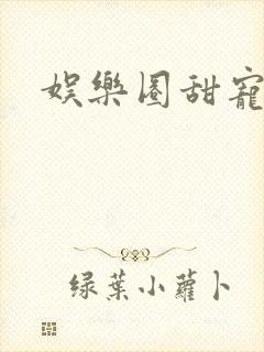 娱乐圈甜宠文封面