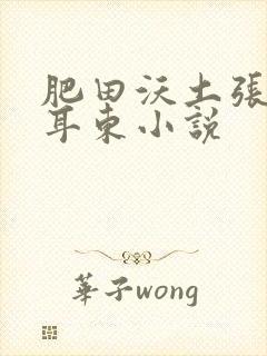 肥田沃土张玉梅耳东小说