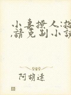 小妻撩人:总裁,请克制小说