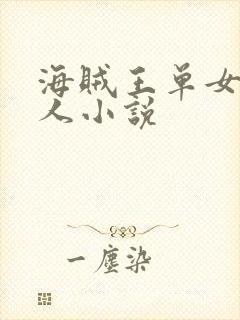 海贼王单女主同人小说封面