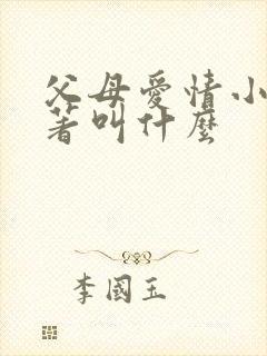 父母爱情小说原著叫什么