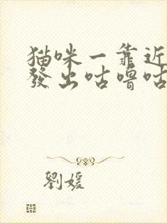 猫咪一靠近你就发出咕噜咕噜的声音