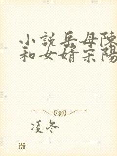 小说岳母陈丽珍和女婿宋阳免费阅读全文