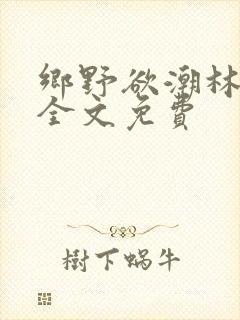 乡野欲潮林天成全文免费封面