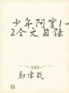 少年阿宾1～72全文目录