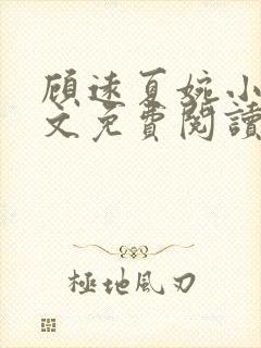 顾远夏婉小说全文免费阅读