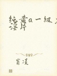 纯黄a一级免费淫片封面