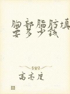 胸部脂肪填充需要多少钱