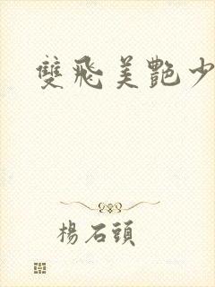 双飞美艳少妇封面