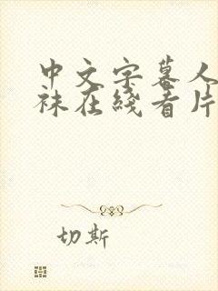 中文字幕人妻丝袜在线看片