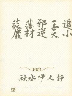 苏落邪王追妻:废材逆天小姐封面