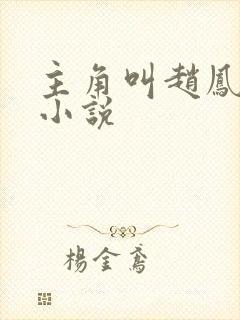 主角叫赵凤生的小说