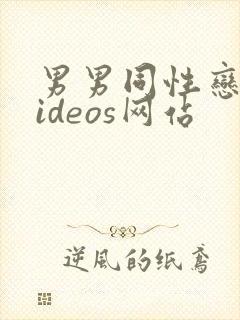 男男同性恋者videos网站