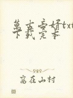 万古帝婿txt下载完本