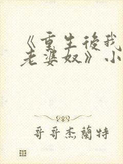 《重生后我成了老婆奴》小说