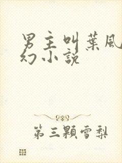 男主叫叶风的玄幻小说