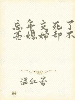 忘年交死了,漂亮媳妇却不愿再嫁小说封面