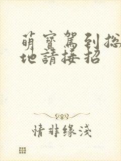 萌宝驾到总裁爹地请接招封面