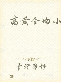 高黄全肉小说封面