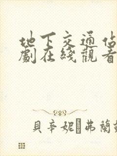 地下交通站电视剧在线观看免费高清