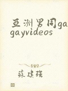 亚洲男同gaygayvideos封面