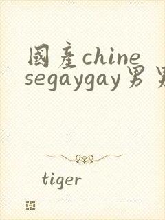 国产chinesegaygay男男网站封面