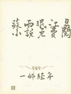 苏雨眠江易淮的小说免费阅读