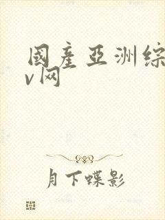 国产亚洲综合av网