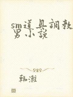 sm道具调教男男小说
