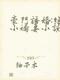 豪门诱婚:绝宠小娇妻小说