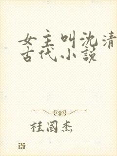 女主叫沈清欢的古代小说