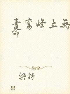 青鸾峰上无敌天命