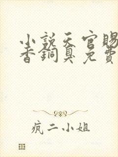 小说天官赐福墨香铜臭免费阅封面