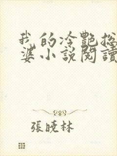 我的冷艳总裁老婆小说阅读封面