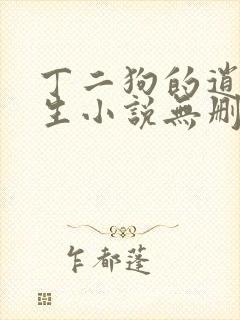 丁二狗的逍遥人生小说无删减
