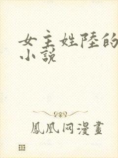 女主姓陆的现代小说