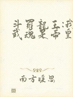 斗罗龙王:我的武魂是帝皇铠甲笔趣阁封面