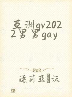 亚洲gv2022男男gay