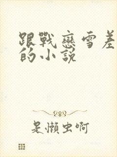 跟战恋雪差不多的小说封面