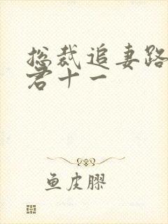 总裁追妻路漫漫君十一