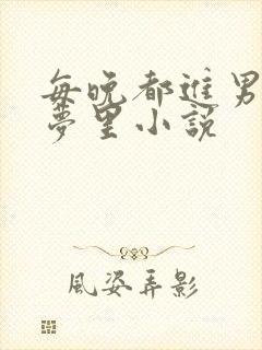 每晚都进男神的梦里小说