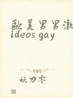 欧美男男激情videos gay