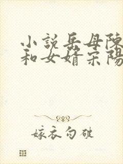 小说岳母陈丽珍和女婿宋阳免费阅读全文