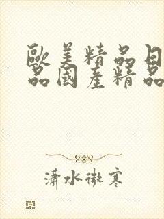 欧美精品日韩精品国产精品