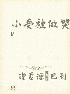 小受被做哭的gv