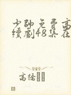 少帅免费高清连续剧48集在线观看