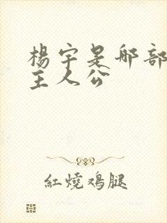 杨宇是哪部小说主人公