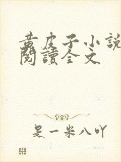 黄皮子小说免费阅读全文