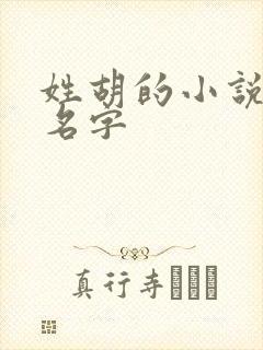 姓胡的小说女主名字